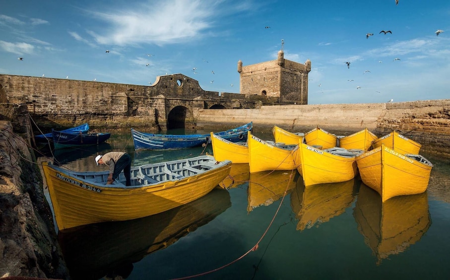 Essaouira Full-Day Tour