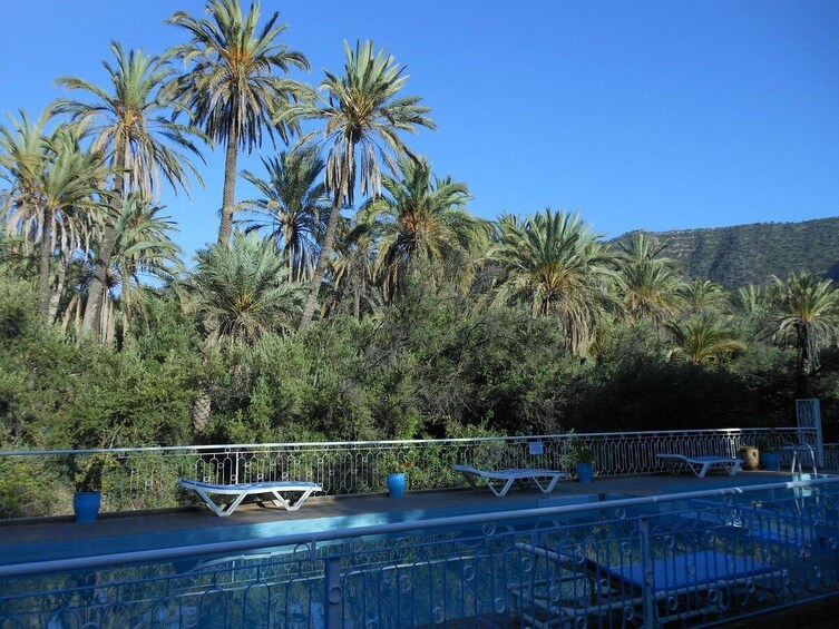 Imouzzer & Paradise Valley Half-Day Tour