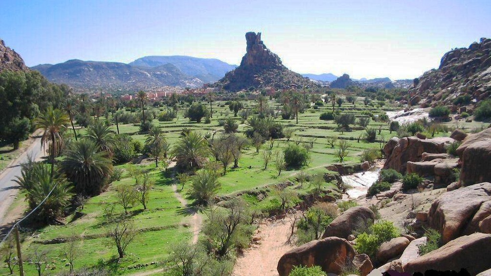 Sprawling lawn dotted with trees leading to the town of Tafraout