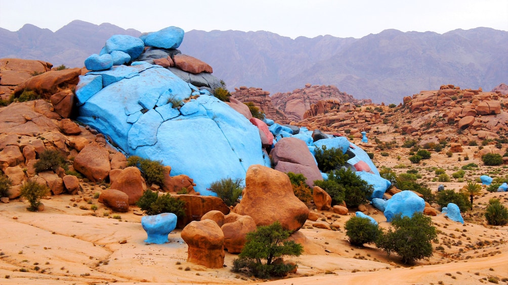 The blue-painted rocks in Tafraout
