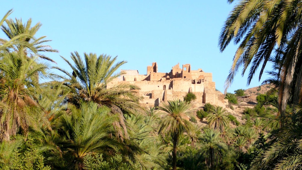 Kasbah overlooking a palm grove in the oasis of Tiout