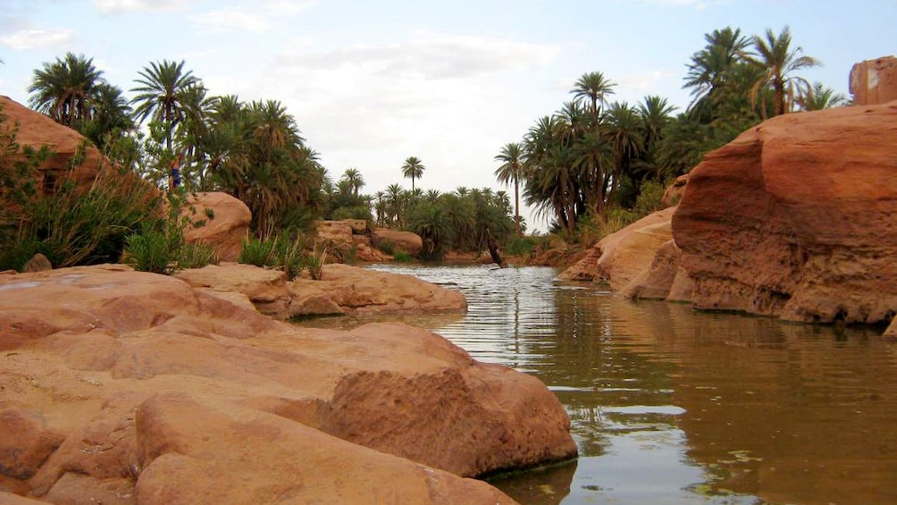 Palm trees line the red rocky bank of the Sous River running past Taroudant
