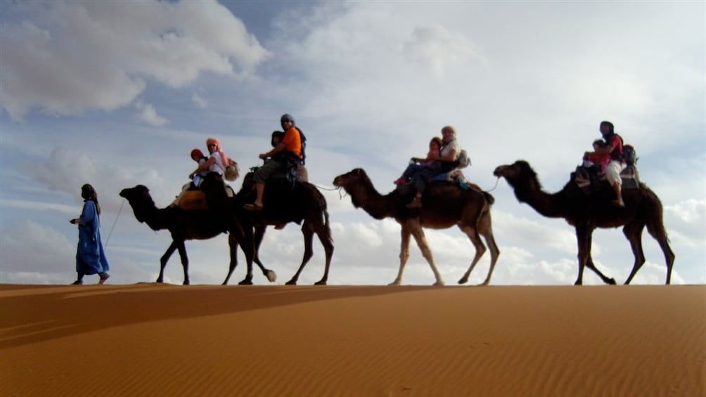 Group of camels and riders on the sand in Agadir