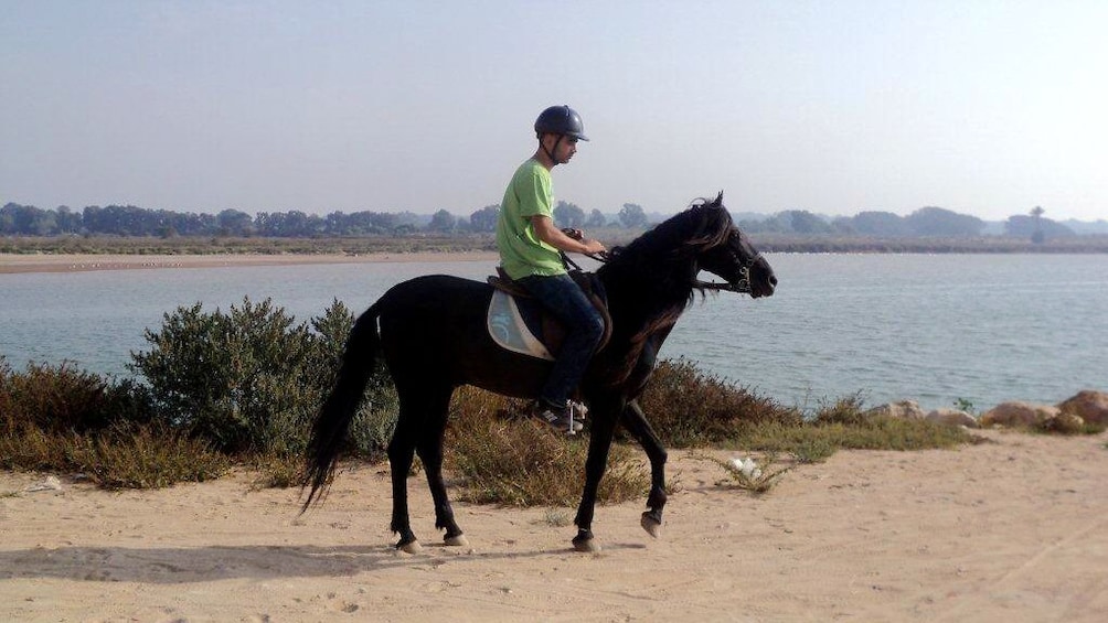 Horseback riding man on a sandy path in Agadir