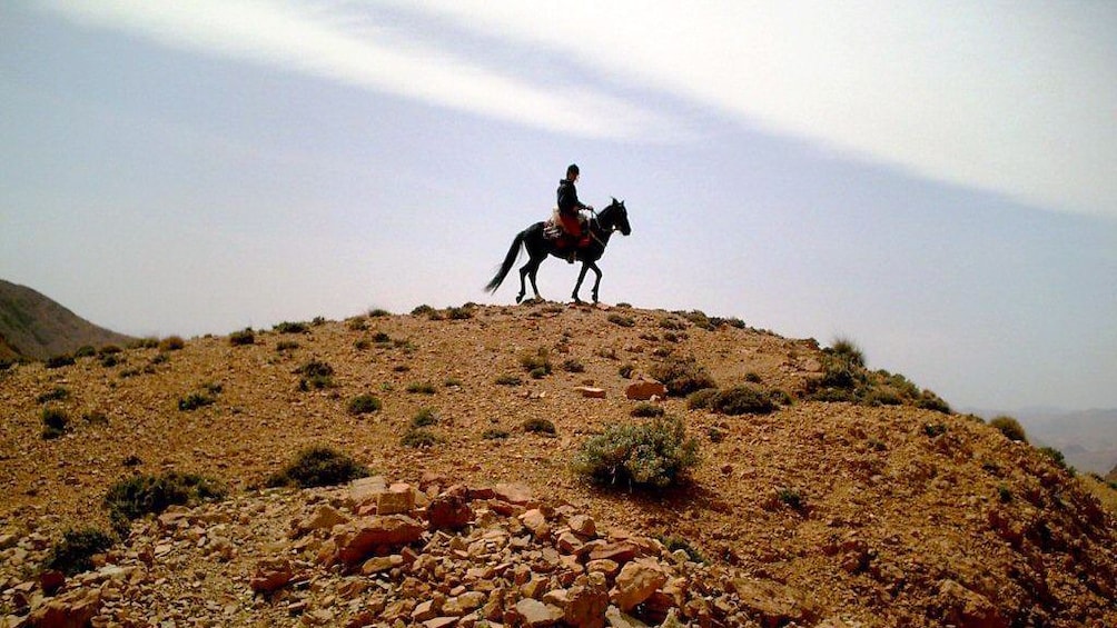 Horseback rider on top of  a hill in Agadir