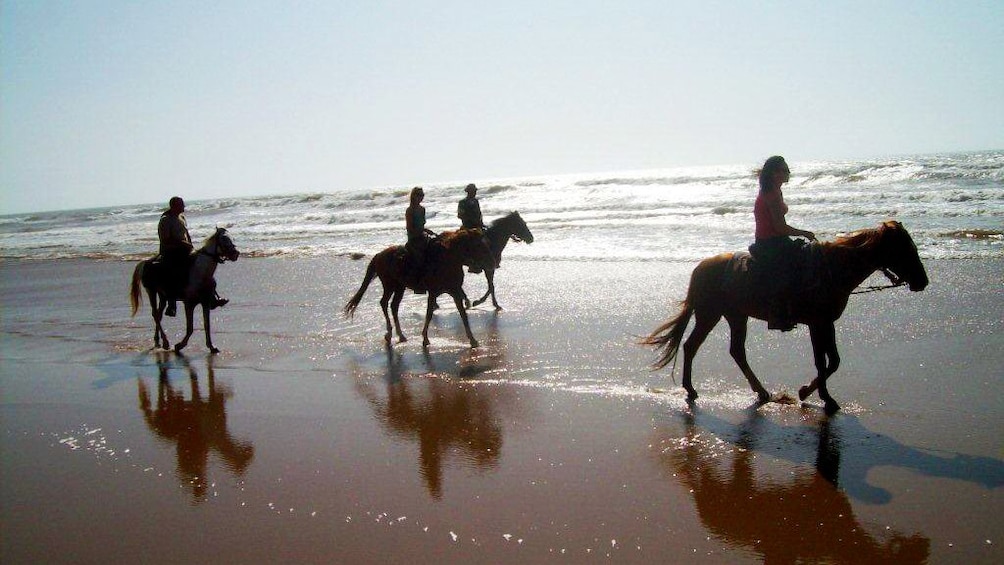 Horseback riding group on the beach in Agadir