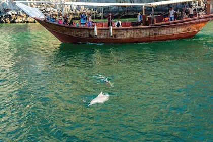 Croisière d'observation de dauphins à Mascate