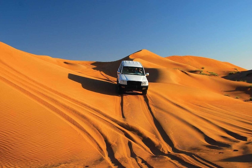 Wahiba Sands full day tour in 4WD