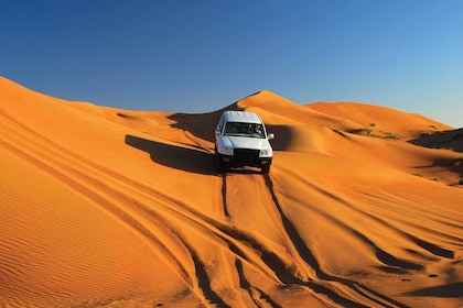 Wahiba Sands hele dag tour in 4WD