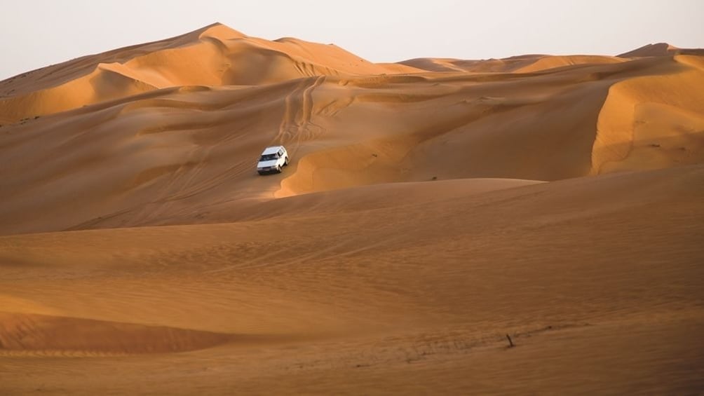 Wahiba Sands full day tour