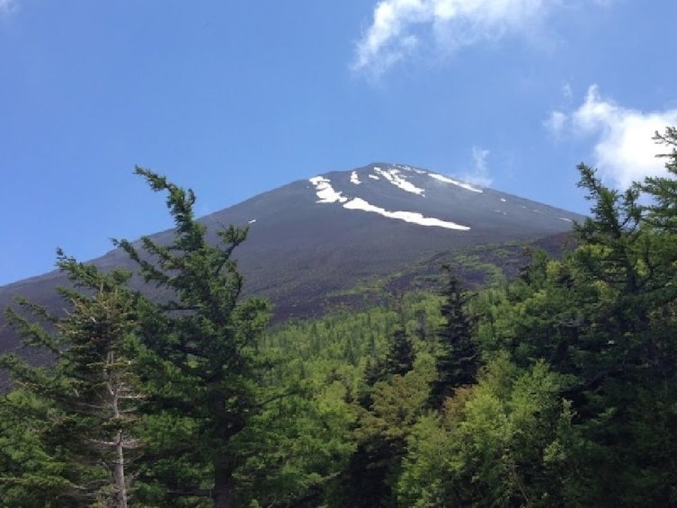 Mount Fuji & Hakone National Park Full-Day Bus Tour