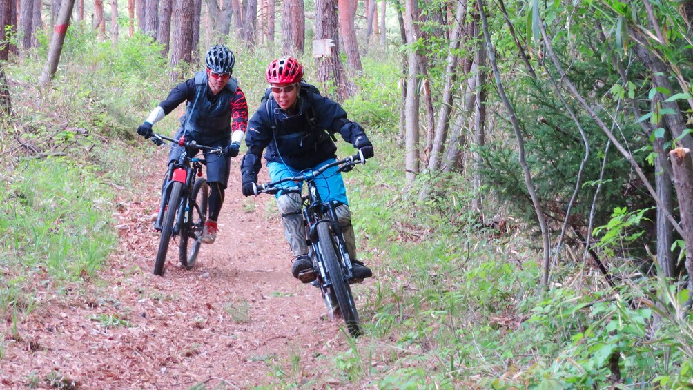 Show item 1 of 10. bicyclists in forest in Tokyo
