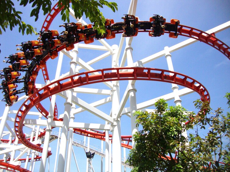 Dreamworld Theme Park Tickets with Roundtrip Transfers