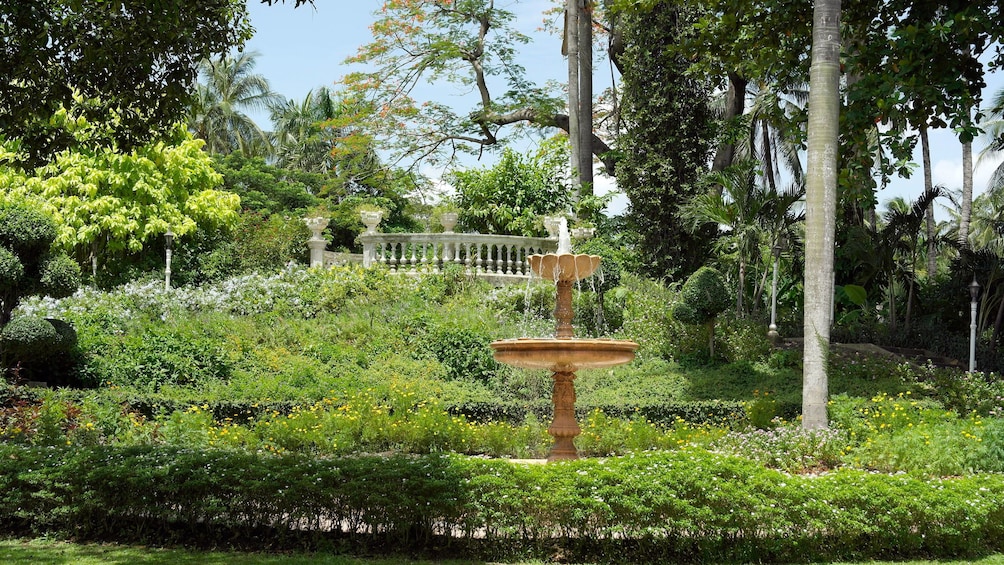 A fountain in a rose garden in bangkok