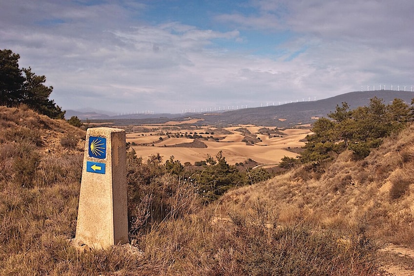 Santiago de Compostela & Valença do Minho Full-Day Tour