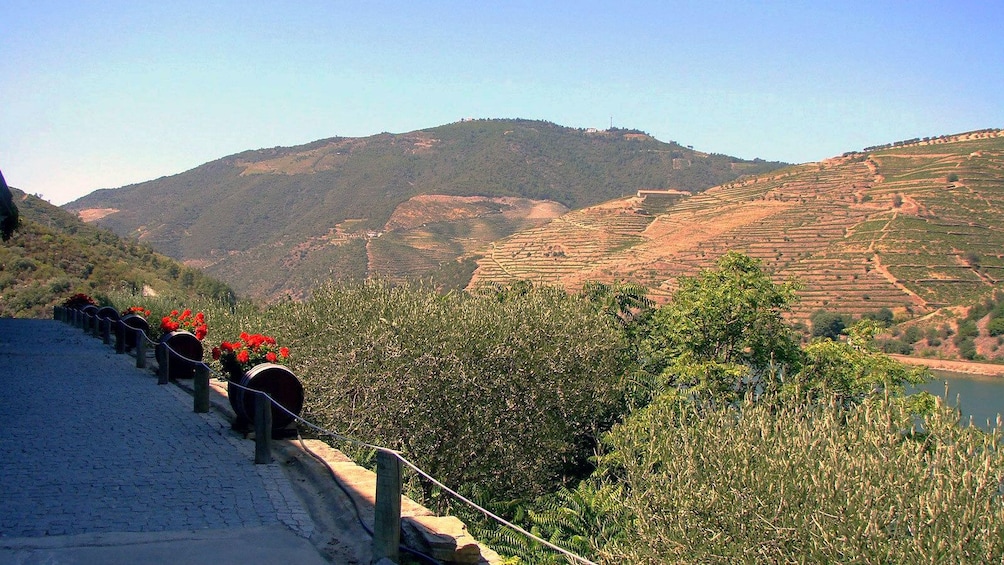 Show item 2 of 5. wine barrel planters on the side of the road at Douro Valley in Portugal