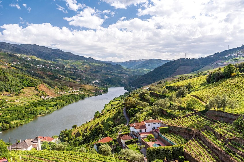 Show item 3 of 5. Douro Valley Historical Tour with Lunch