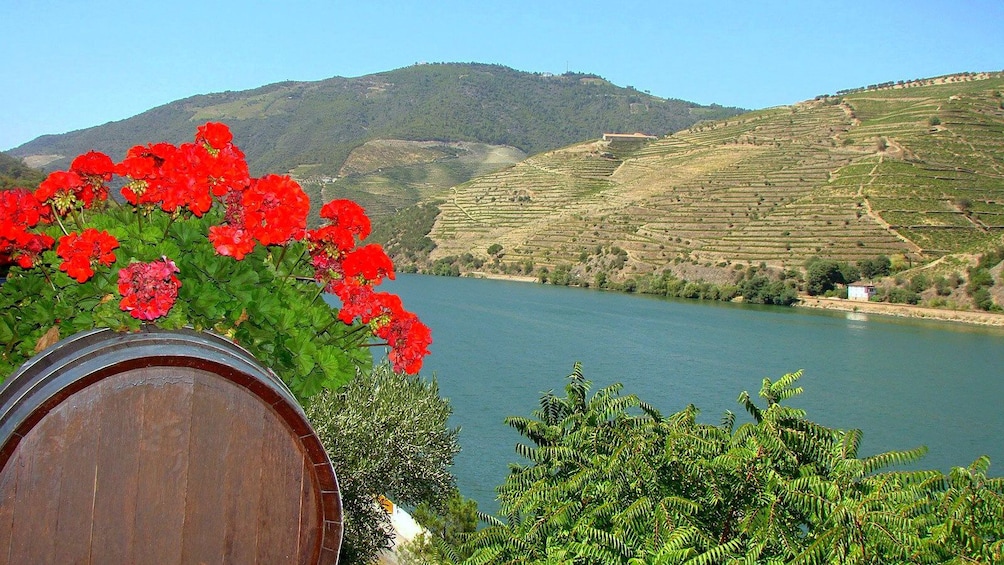 decorated wine barrel at Douro Valley in Portugal