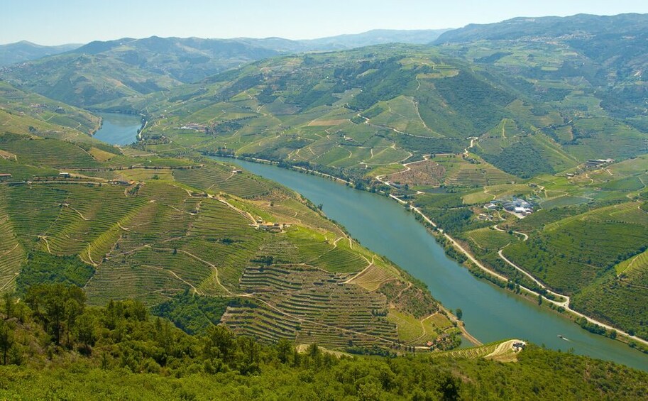 Douro Valley Historical Tour with Lunch