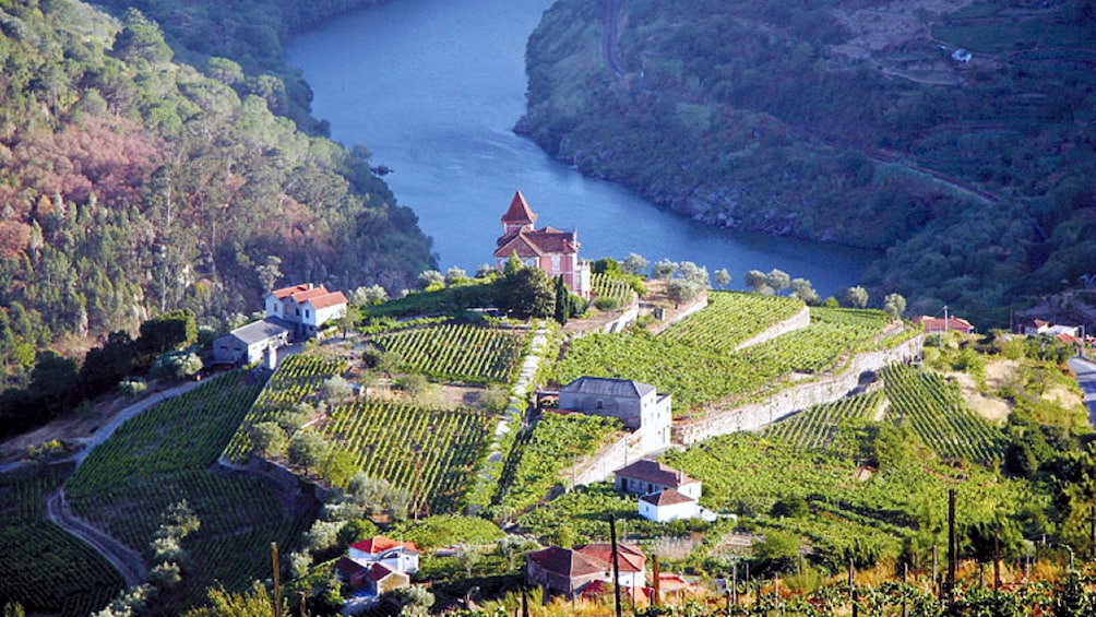winery establishments atop a hill in Douro Valley