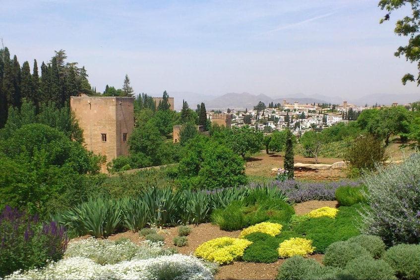 Granada Highlights - Full Day Tour
