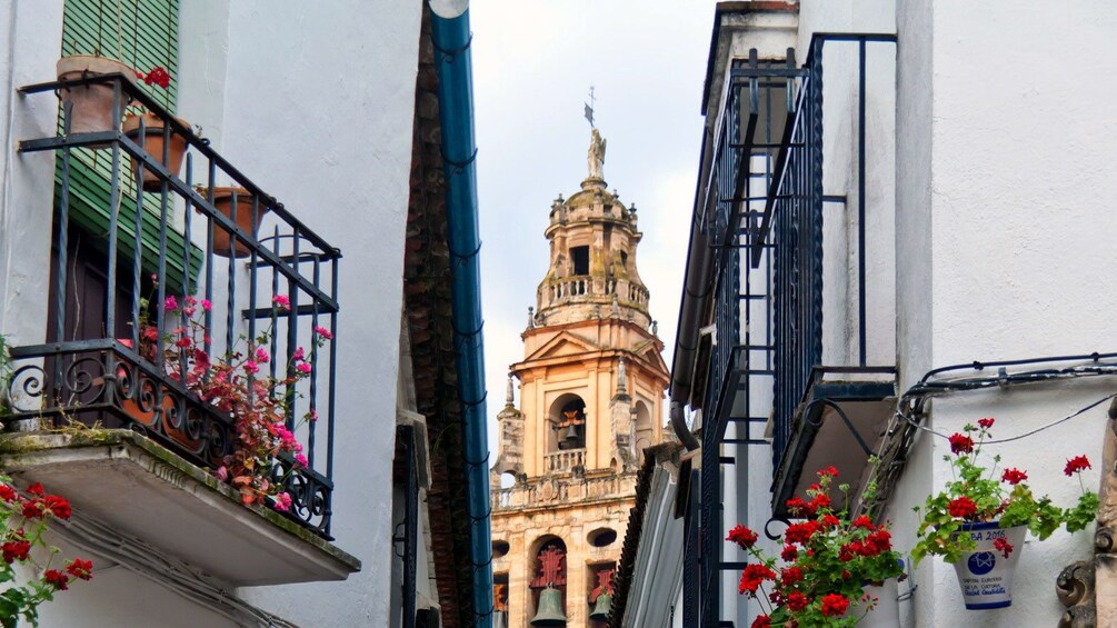 Charger l’élément 2 sur 6. The Calleja de las Flores in Cordoba
