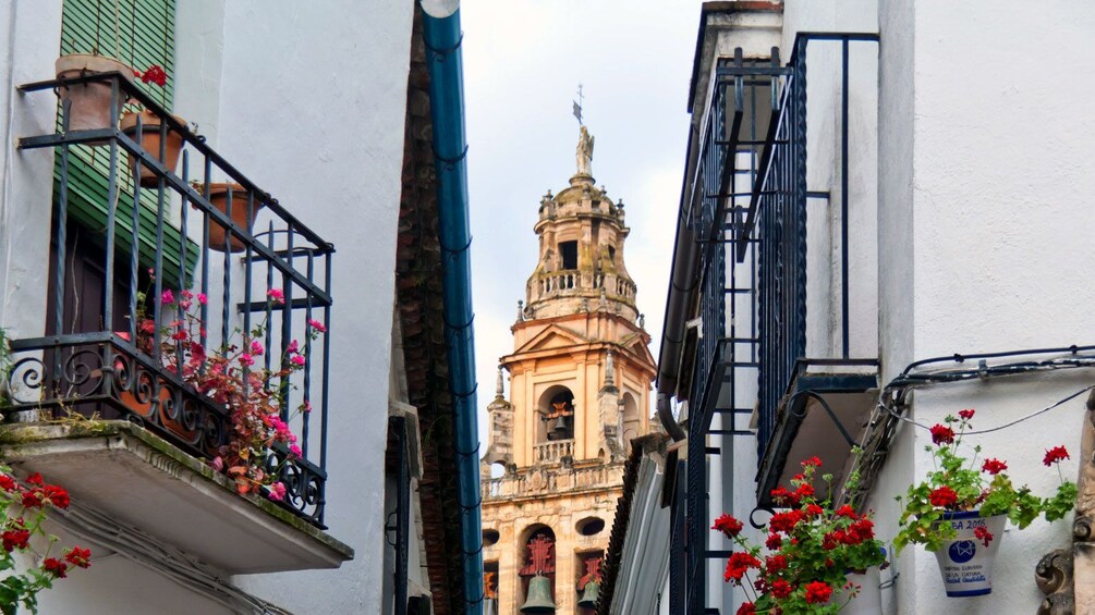 The Calleja de las Flores in Cordoba