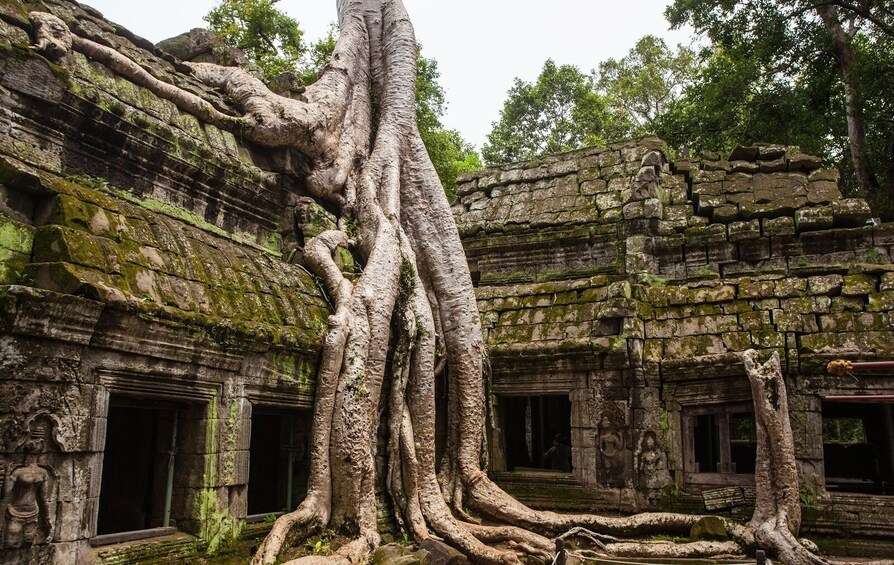 Private Angkor Wat & Royal Temples Excursion