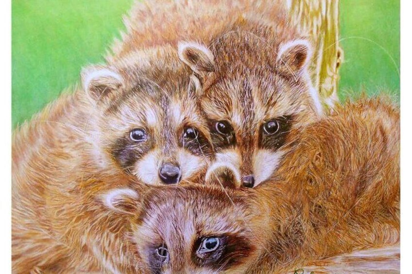 Coloured pencils drawings by one of the local artists.