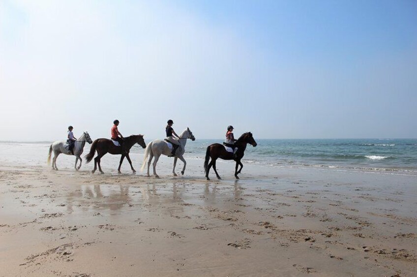 Beach Trail Rides