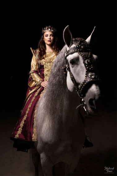 Cargar ítem 4 de 9. Medieval Times Dinner & Tournament