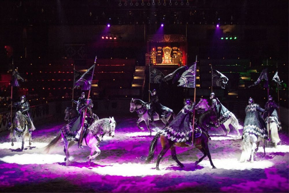 medieval times chicago buy one get one free