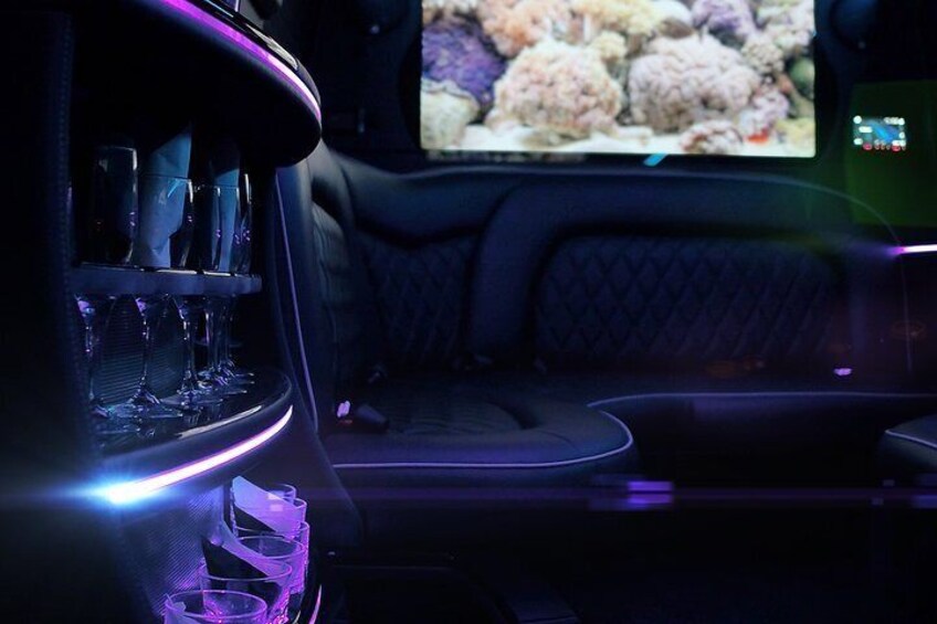 Party Bus Luxury Transportation Shuttles Limo