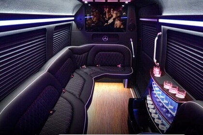 14 Passenger Luxury Sprinter Party Bus Ft Lauderdale 3 hour