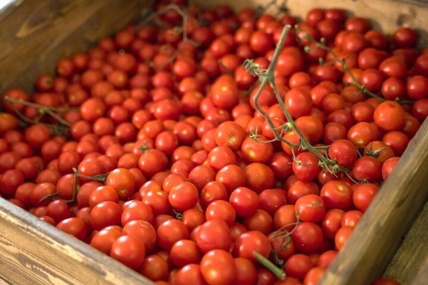 Cherry Tomatoes of Santorini