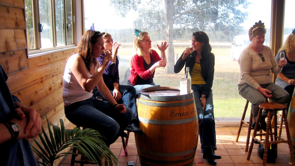 Show item 4 of 8. Group enjoying some wine at a wine tasting in the Hunter Valley region in Australia