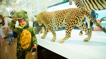 Australian Museum Tickets
