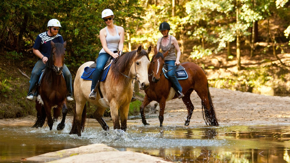 Group of horseback riders at a water bank in Glenworth Valley 