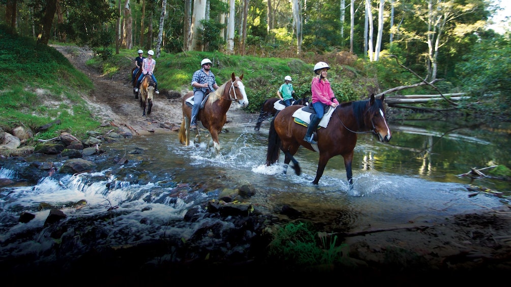 Group of horseback riders on a riding adventure through the acres at Glenworth Valley 