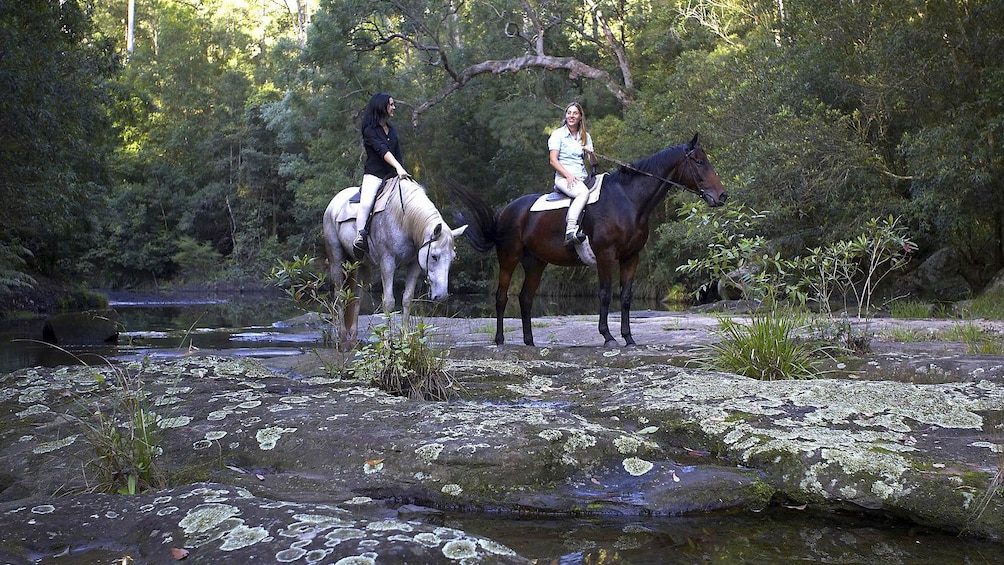 Two ladies on a horseback riding adventure at Glenworth Valley
