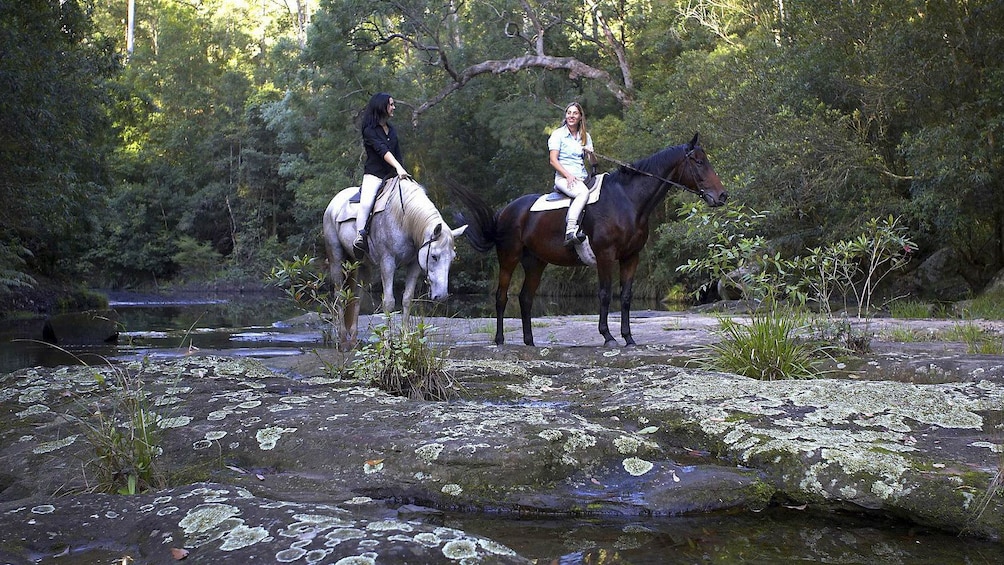 Two ladies on a horseback riding adventure at Glenworth Valley 