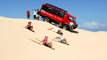 Port Stephens Dolphin Watching Day Tour with Reptile Park