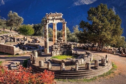 Delphi One Day Tour