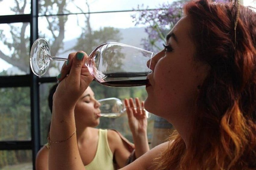 Lemnos: Cheese & Wine Tasting