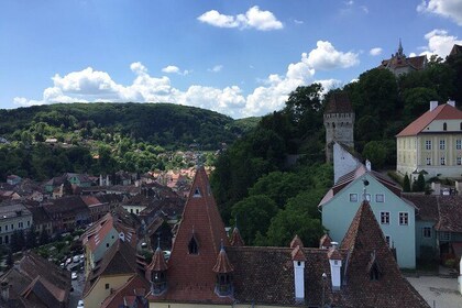 Uncover Transylvania: Private 2-Day Tour Bears & Medieval Wonders