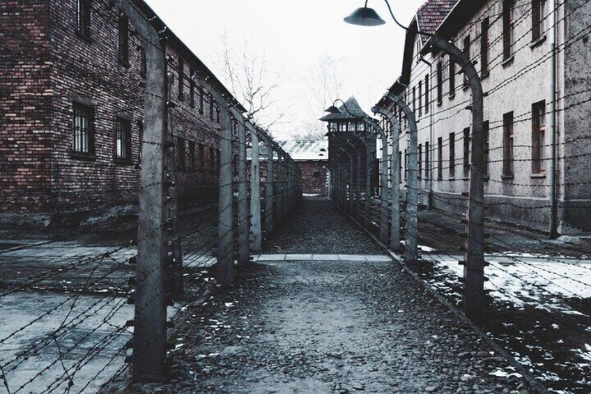 National Musuem Auschwitz from Krakow 5-8 people 