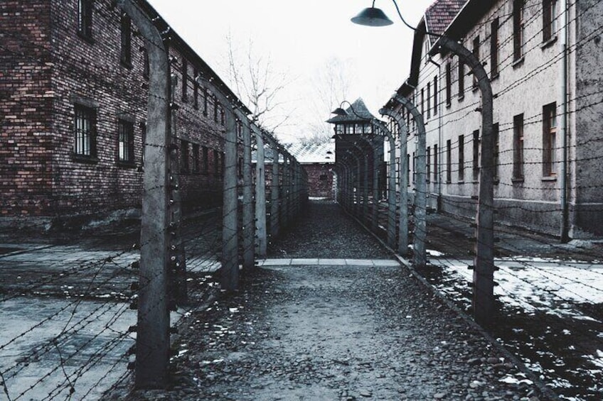 National Musuem Auschwitz from Krakow 5-8 people