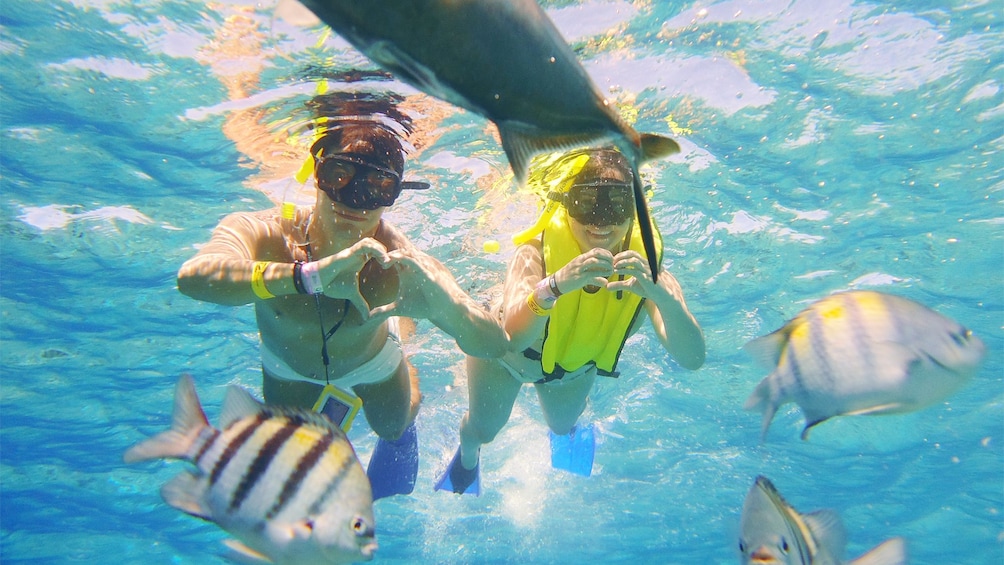 Snorkelers making heart shapes with their hands underwater