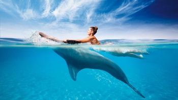 Dolphin Programs & Wet'n Wild Water Park Tickets