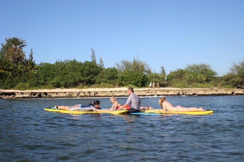 North Shore Beginner Surf Lesson